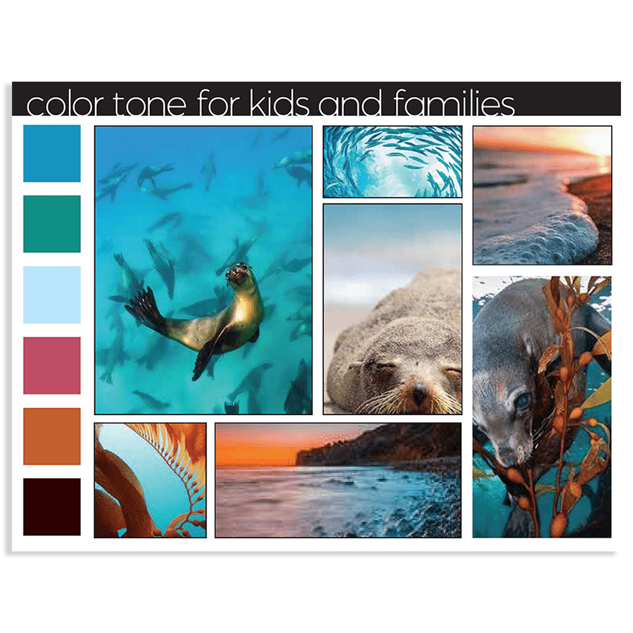 Marine Mammal Care Center mood board