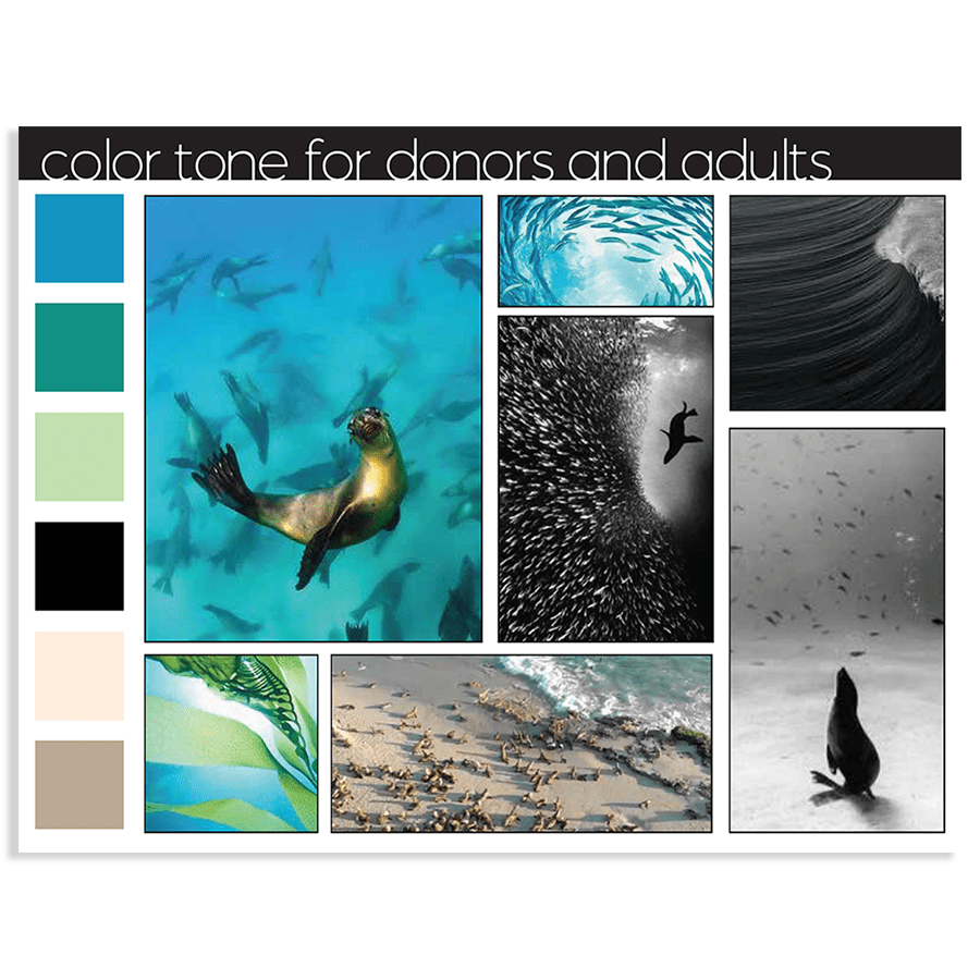 Marine Mammal Care Center mood board