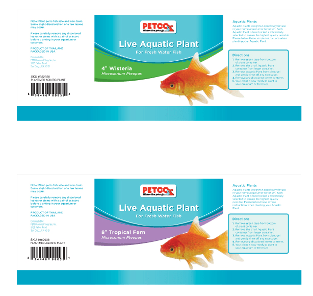 petco live aquatic plant